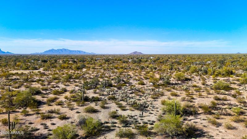 dji_fly_20260302_155054_0581_17724996657