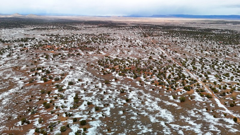 dji_fly_20260219_144836_0369_17715902953