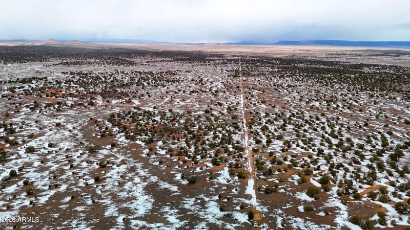 dji_fly_20260219_144826_0365_17715902966