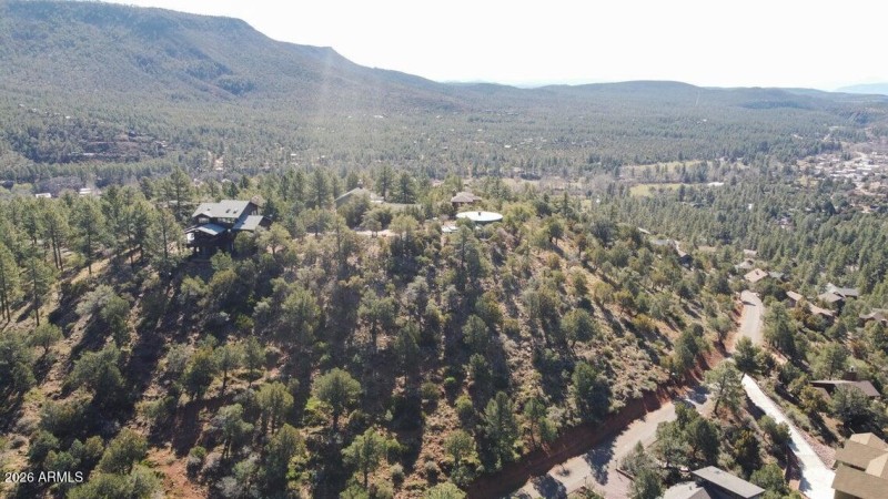 Pine Views and Neighbors