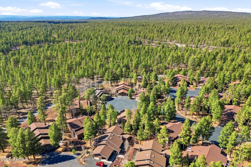 2750JuniperCir-Pinetop-AZ-32