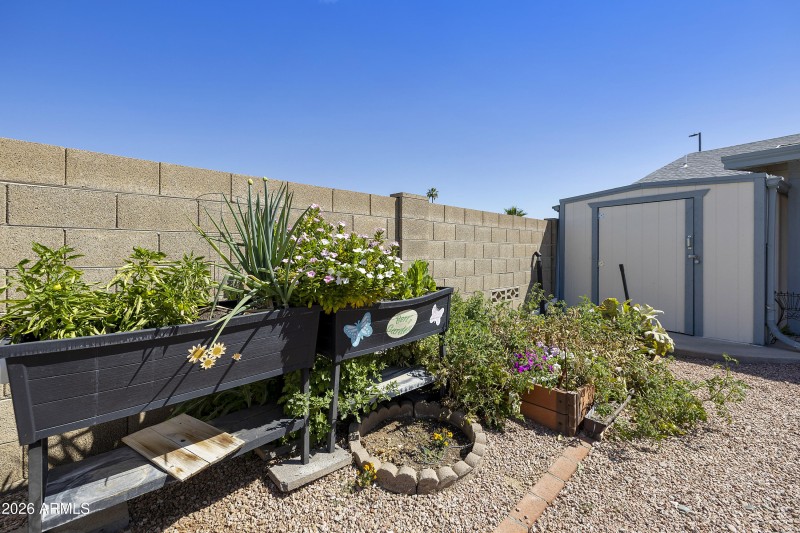Shed and raised garden beds