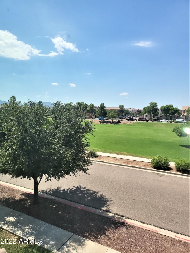 View of park from master