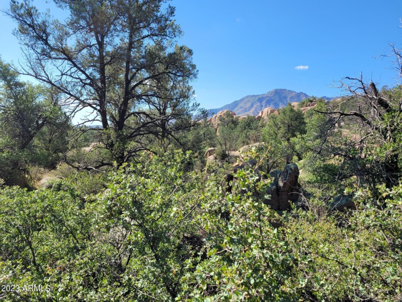 Granite Mountain Views
