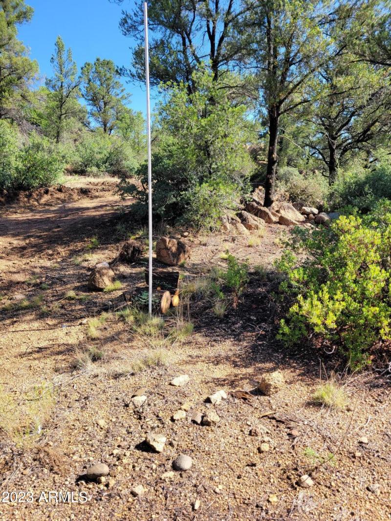 Northwest corner of property