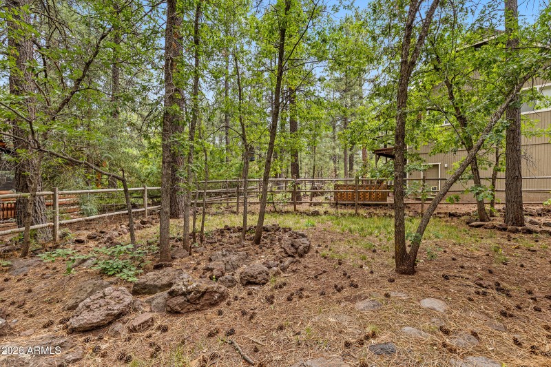 2025-10-12 16.16.54-1