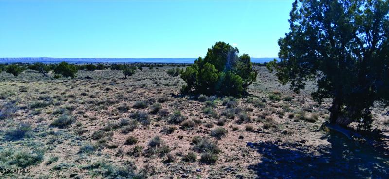 207-71-002 Vegetation (2).jpg