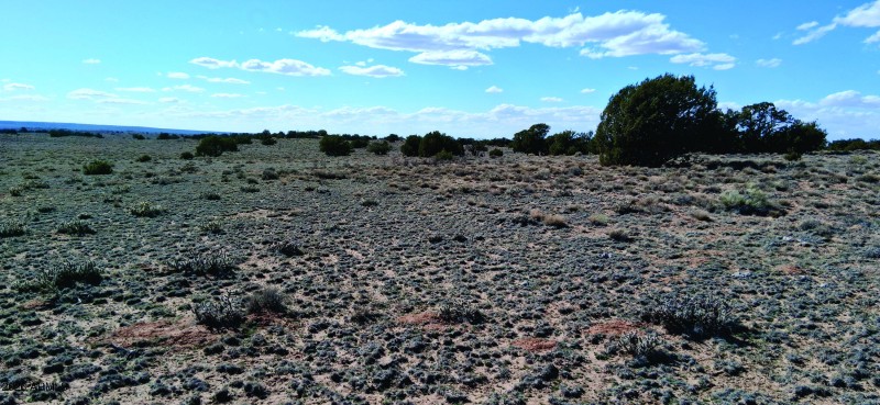 207-71-002 West view (2).jpg