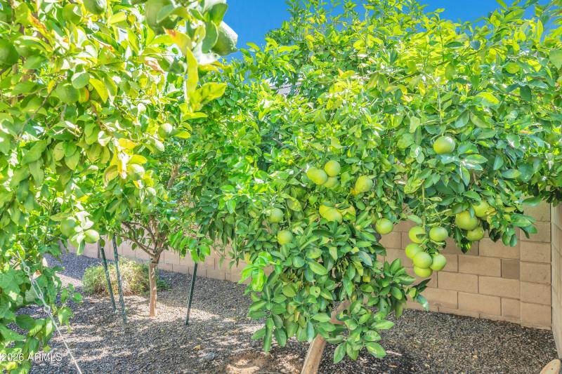 9364 W Cashman Dr-30