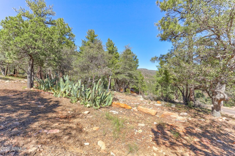 mls-1E0A5474_5_6_7_8 copy