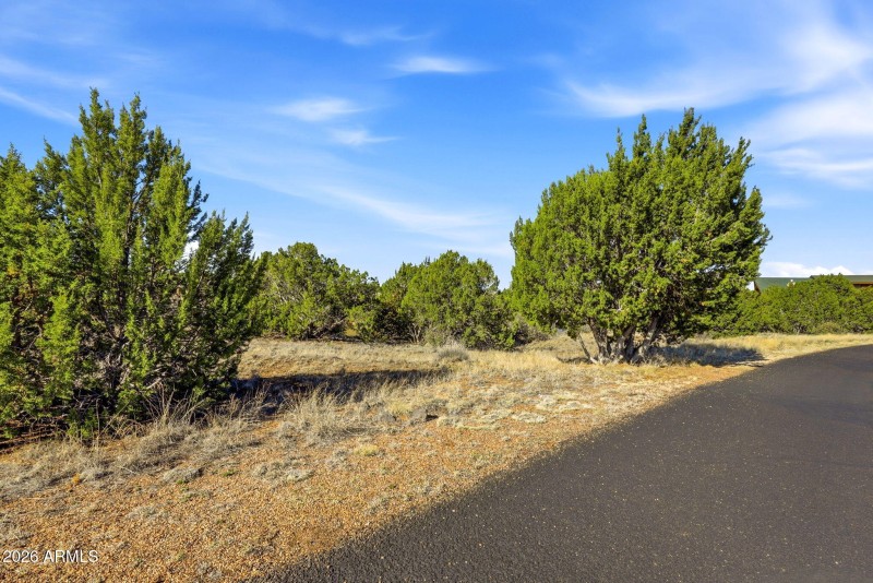 8379LakeViewDr-ShowLowAZ-1