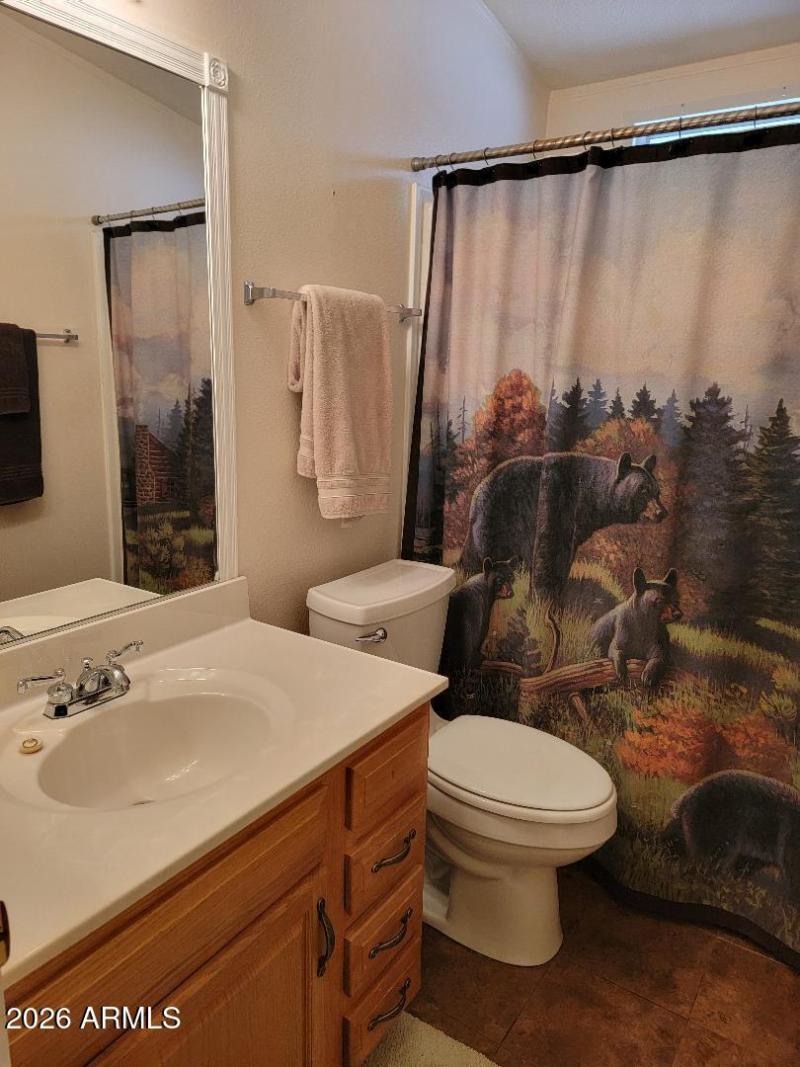 3731 guest bathroom