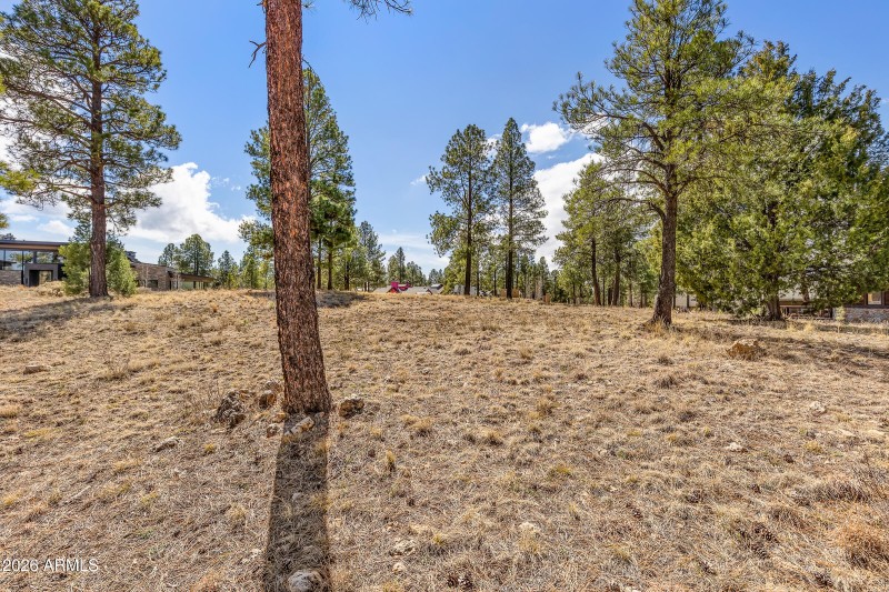 3401 S Brown Sage Ct-20