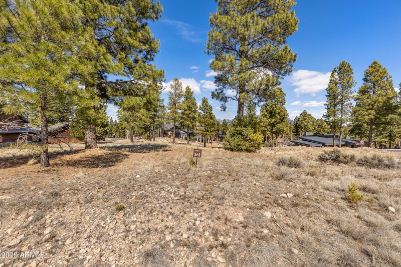 3401 S Brown Sage Ct-13