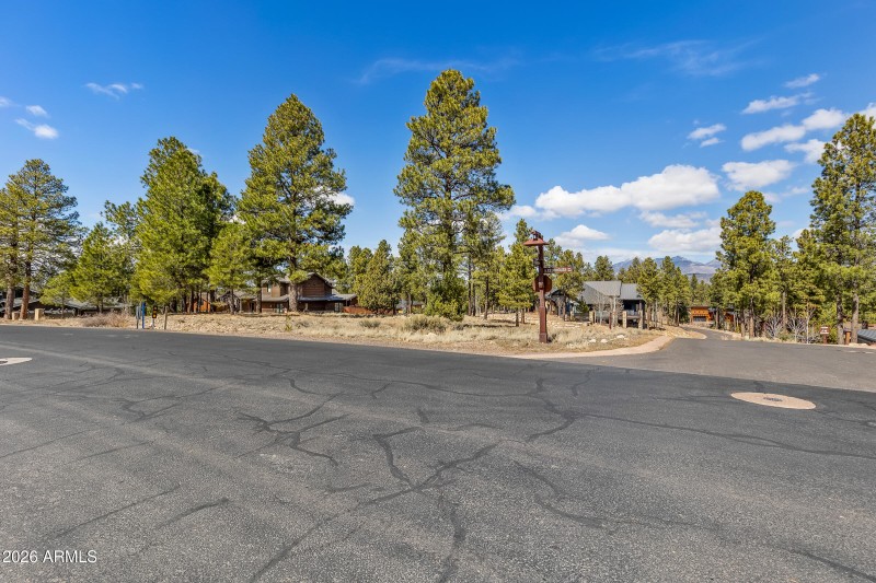 3401 S Brown Sage Ct-10