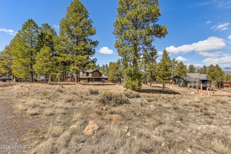 3401 S Brown Sage Ct-9