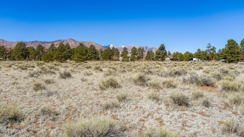 20260312193026916474000000-o