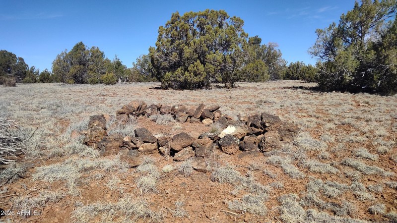 WIN_20260311_10_37_39_Pro