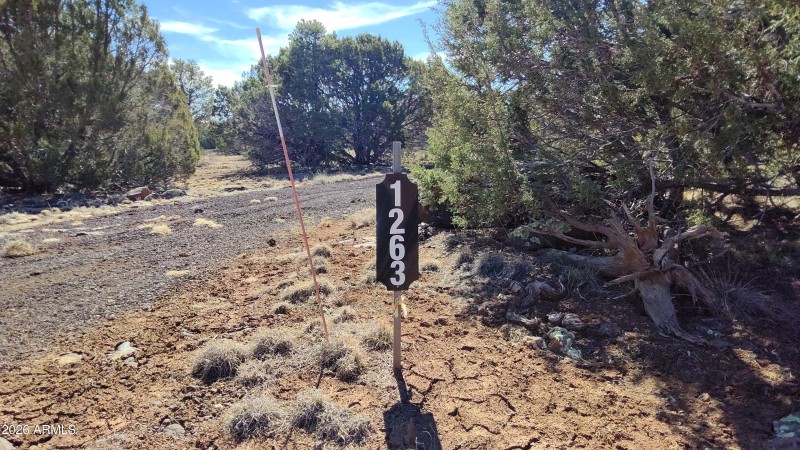 WIN_20260311_10_38_55_Pro