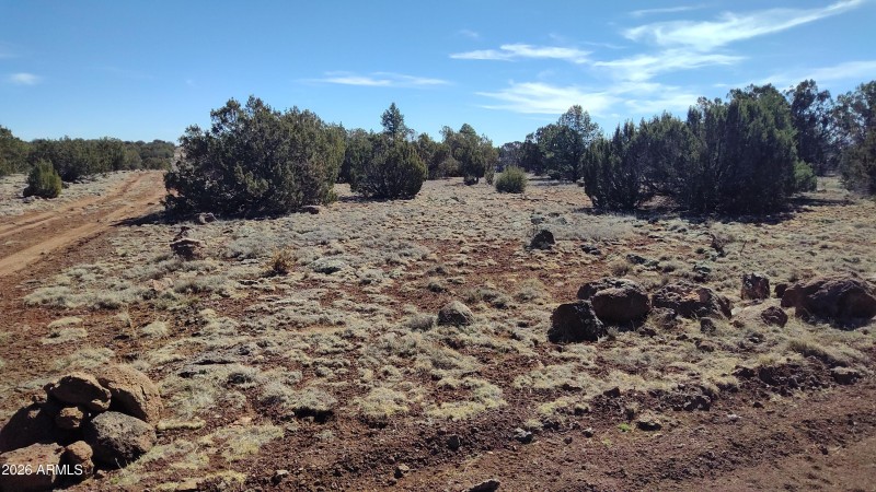 WIN_20260311_10_40_34_Pro