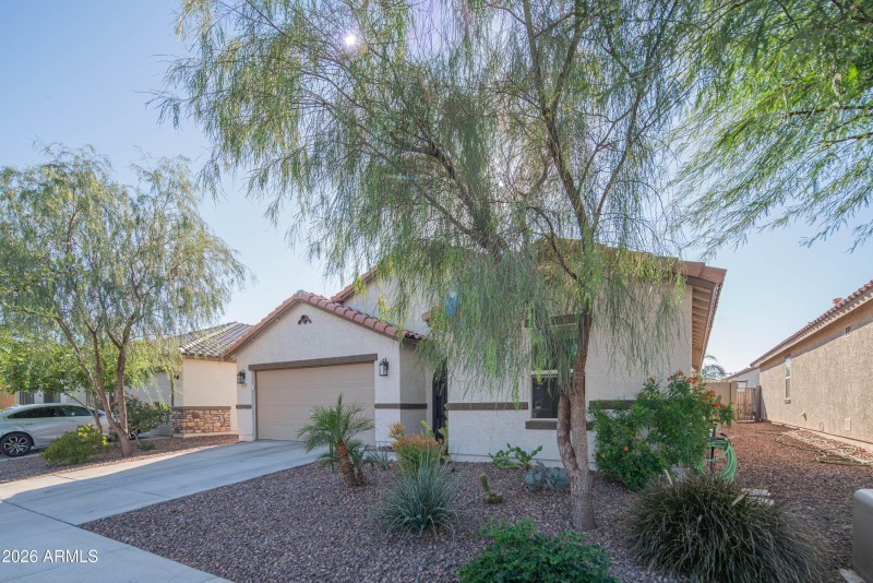 craigrootimaging_174-55