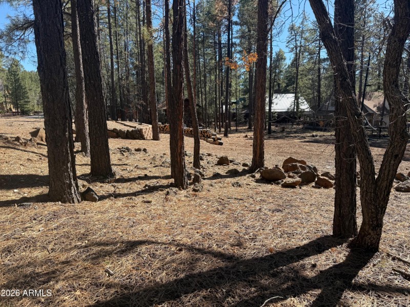 3430 Blacksmith Trl, Pinetop, AZ 85935