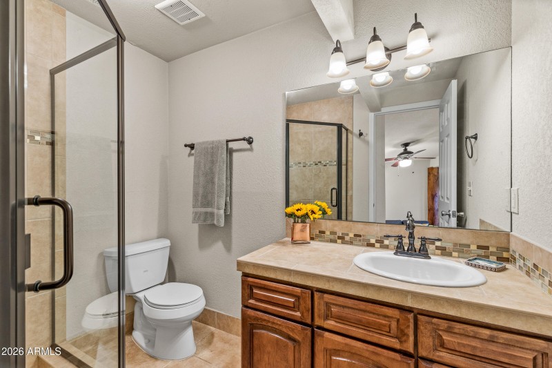 Lower Level Bathroom