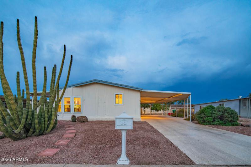 wyattrootimagaing_S88-50