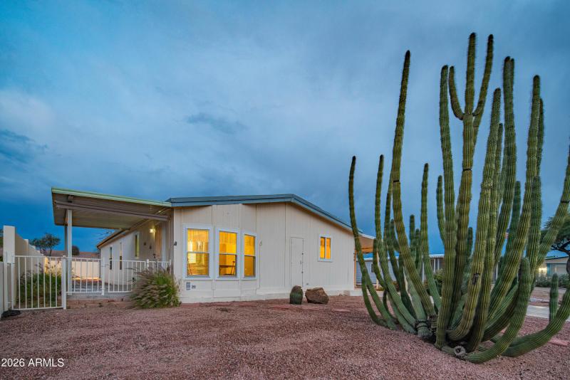 wyattrootimagaing_S88-51