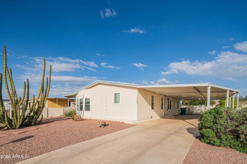 wyattrootimagaing_S88-1