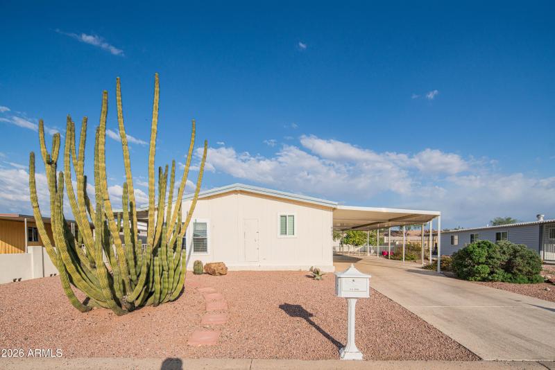 wyattrootimagaing_S88-2