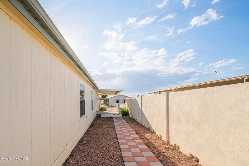 wyattrootimagaing_S88-13