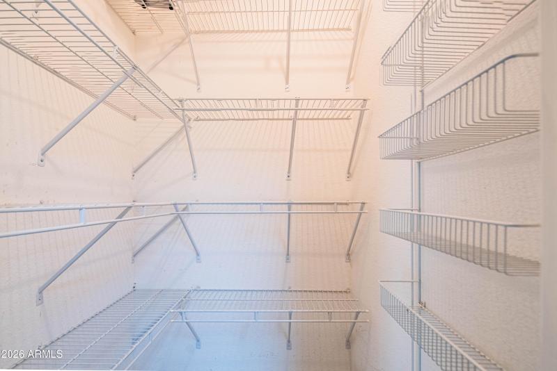 wyattrootimagaing_S88-20