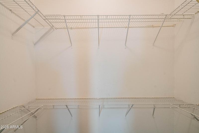 wyattrootimagaing_S88-38