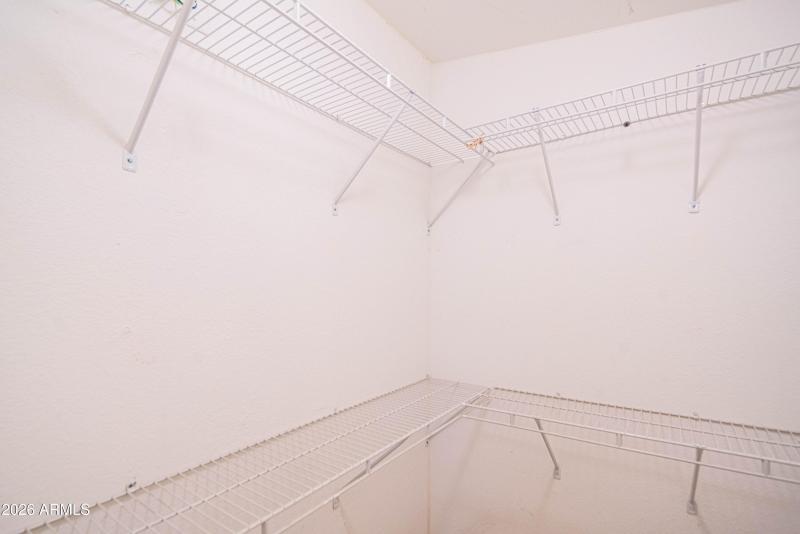 wyattrootimagaing_S88-47