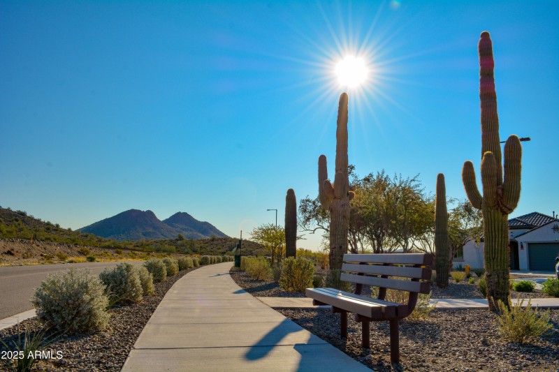 Aloravita Community Photos-1