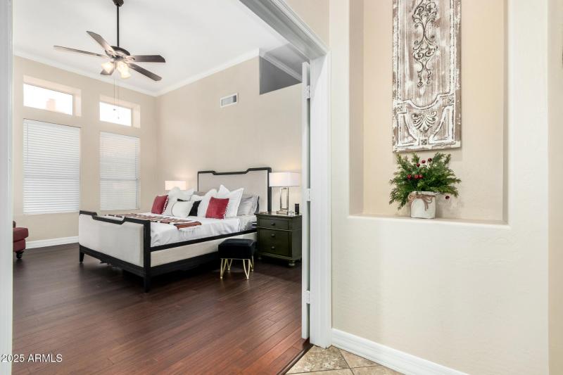 02 - Desert Marigold