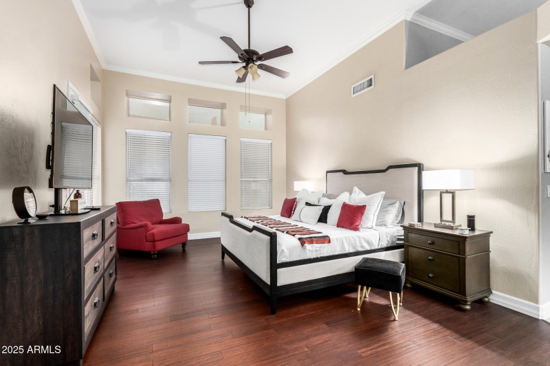 08 - Desert Marigold