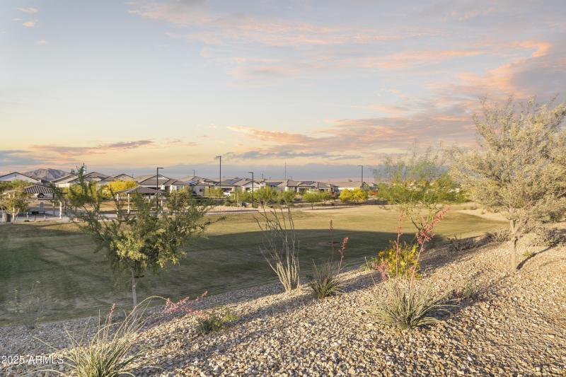 3-print-24111-w-flores-dr