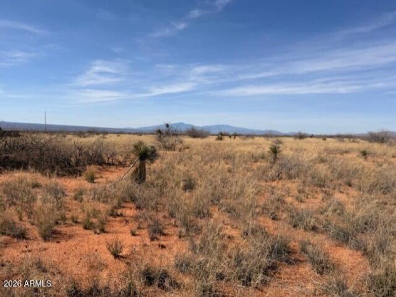 3161ad05-2b0e-41ef-9859-2033f4566ab6