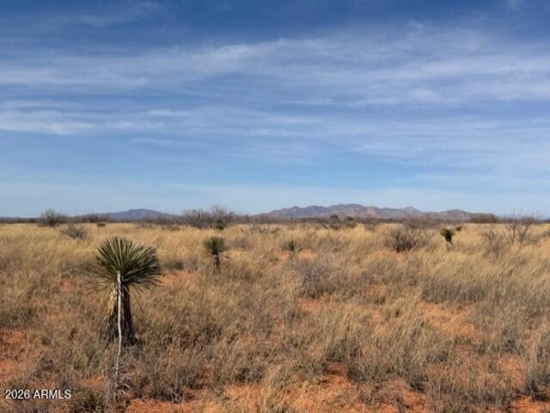 b53912d3-1523-402f-af67-733ec96eb50a