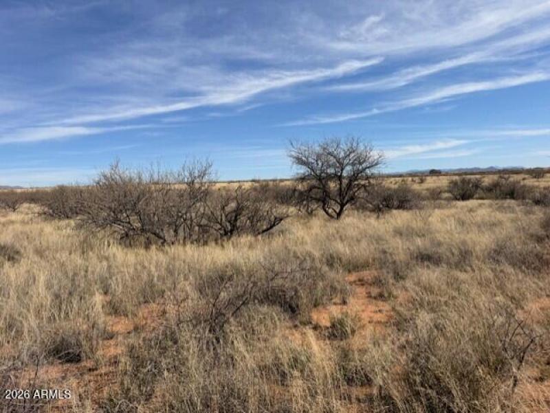 bc511cf9-af45-490a-a466-e52848f7d9b4