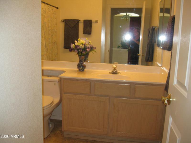 Vanity in Second Bath