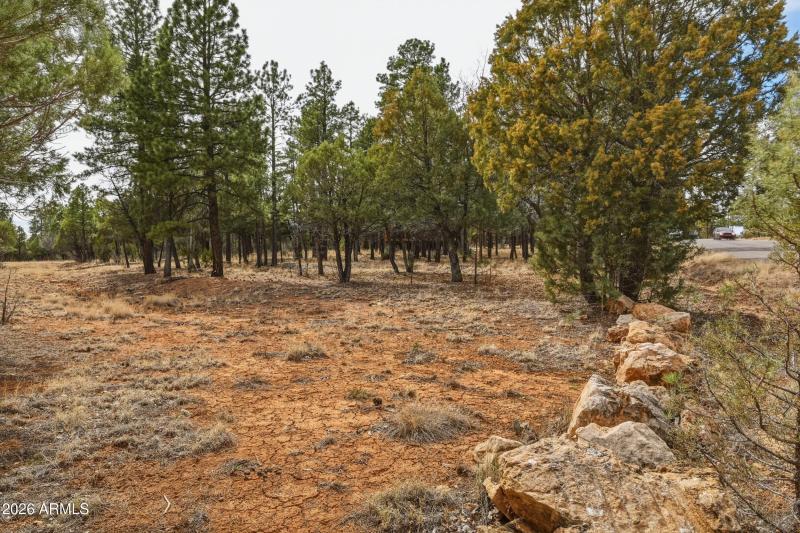 29 Privacy from extra lot