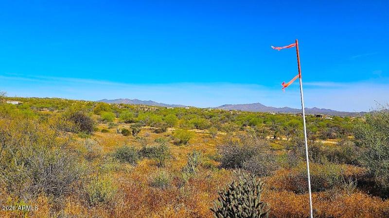 Looking N.E. from the S.E. corner