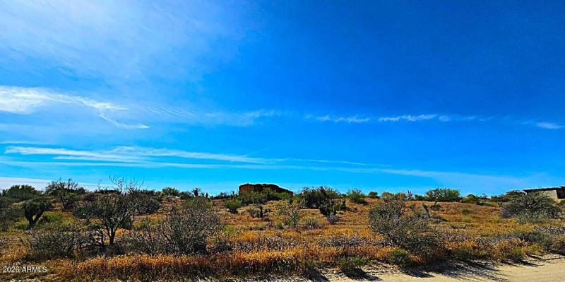 Looking S. from Dove Valley Rd.
