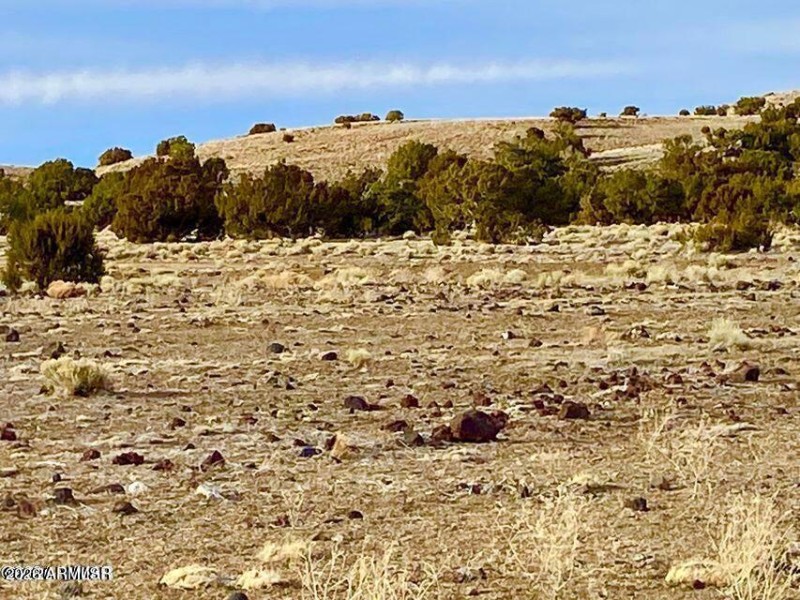 20260312065422475687000000-o