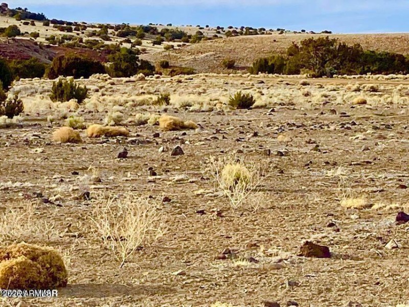 20260312065456711301000000-o