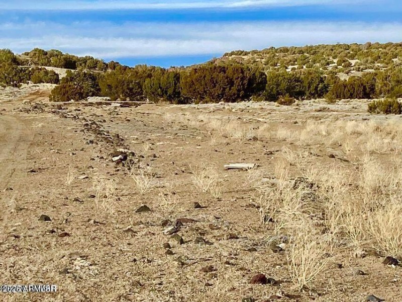 20260312065503177455000000-o