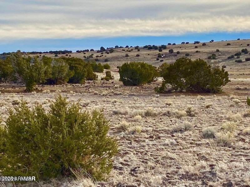 20260312065808871324000000-o